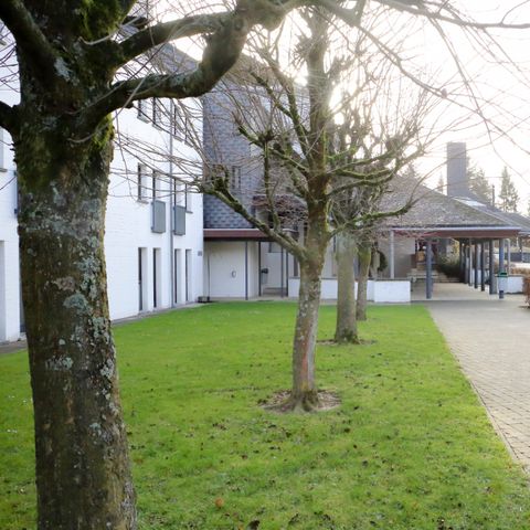 Corsendonk Sol Cress  - Camping Liege - Image N°6