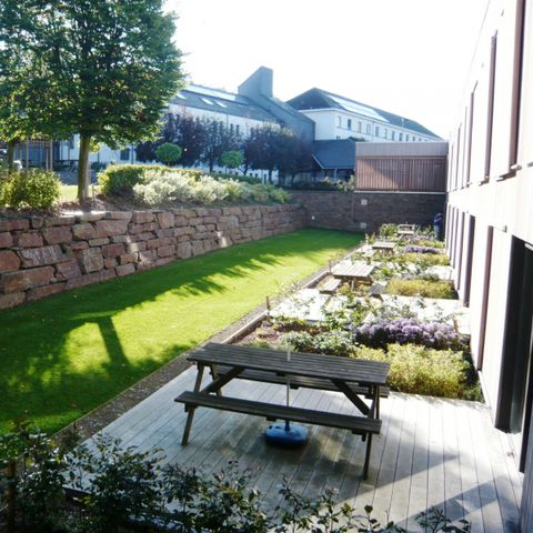 Corsendonk Sol Cress  - Camping Liege - Image N°4
