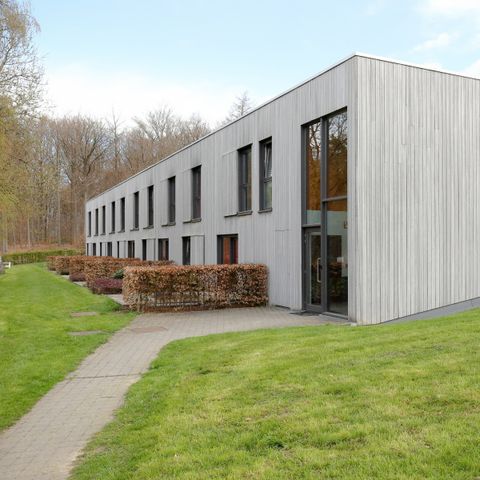 Corsendonk Sol Cress  - Camping Liege - Image N°2