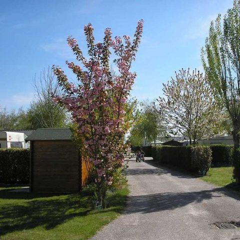 Camping des Crocs - Camping Somme - Image N°5