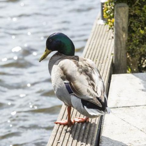 HOUSE 12 people - Family House