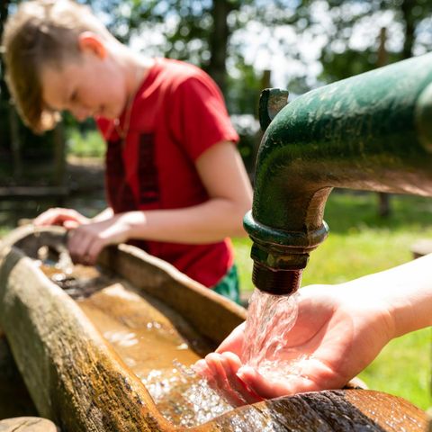 UNUSUAL ACCOMMODATION 6 people - Treehouse