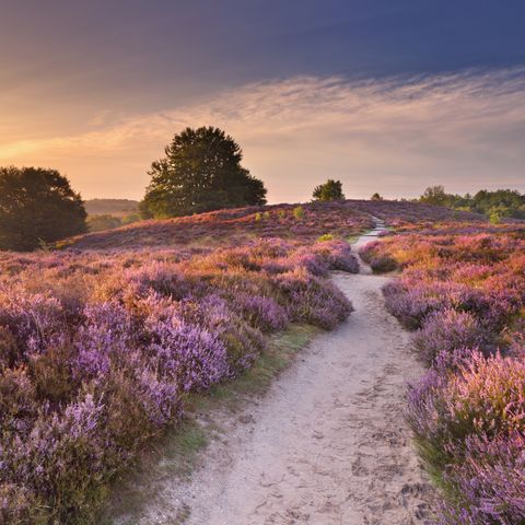 UNUSUAL ACCOMMODATION 6 people - Treehouse