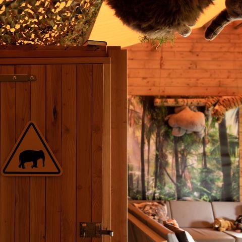 Glamping tent 6 persons - Bungalow tent Jungle House