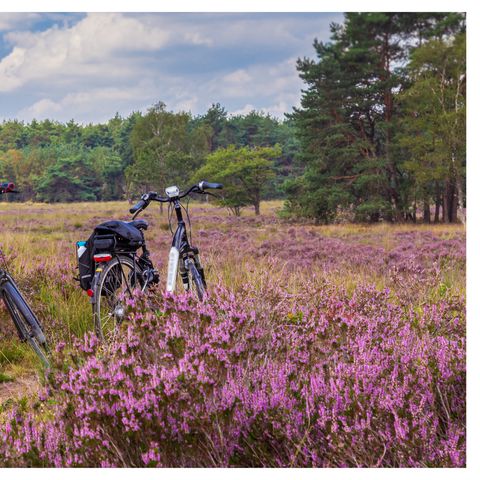 BUNGALOW 6 people - Dwarf Eagle Nature Package