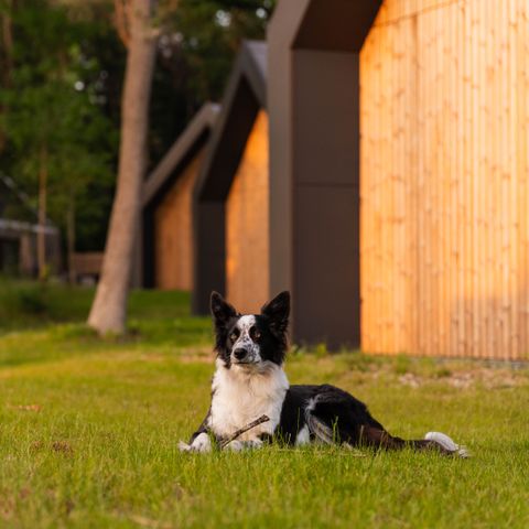 Roodewoud - Aa en Hunze - Image N°3