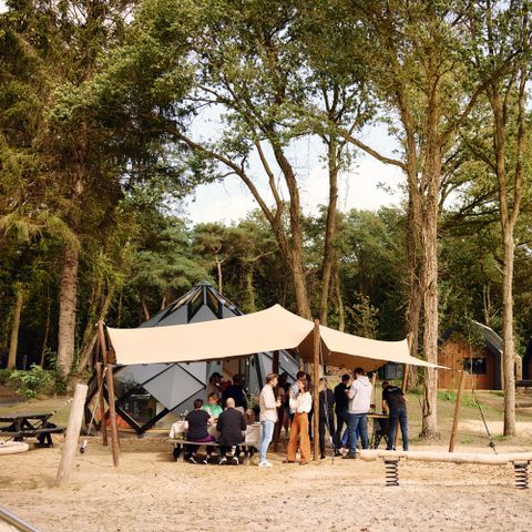 Roodewoud - Camping Aa und Hunze - Image N°3