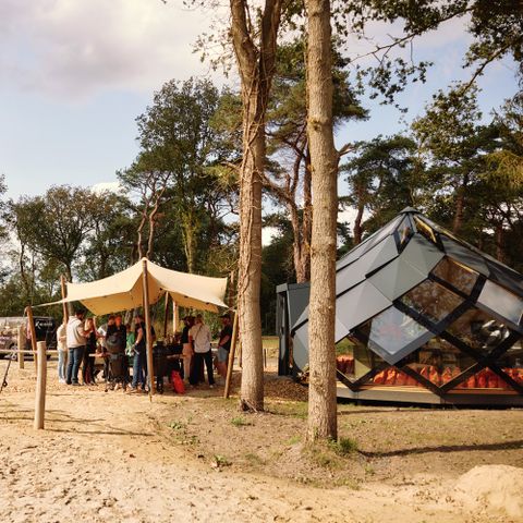 Roodewoud - Camping Aa und Hunze - Image N°2