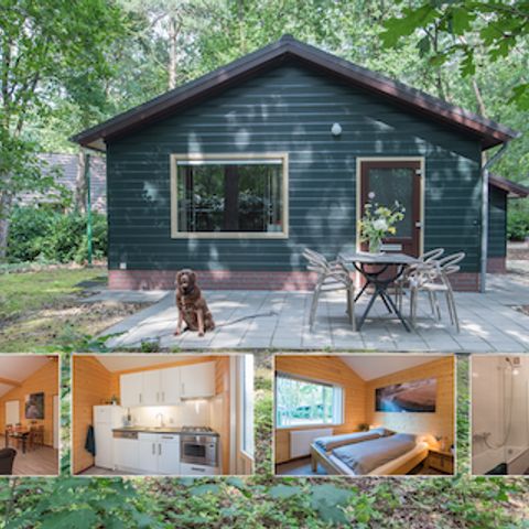 Bungalow 4 persons - Holiday home Plus