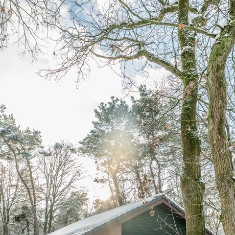 Villa 4 persons - All Electric