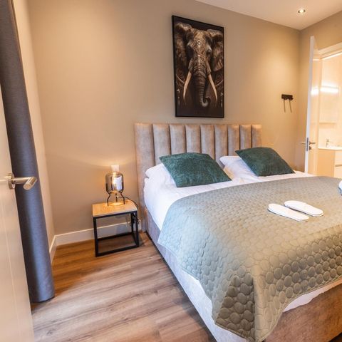 Villa 8 persons - Veluwe with Private Indoor Pool & Sauna
