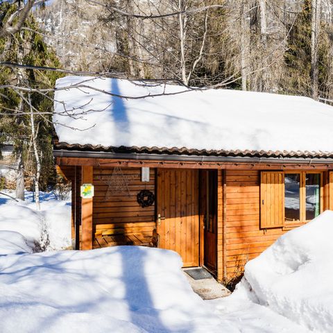 CHALET 5 people - Chalet Back