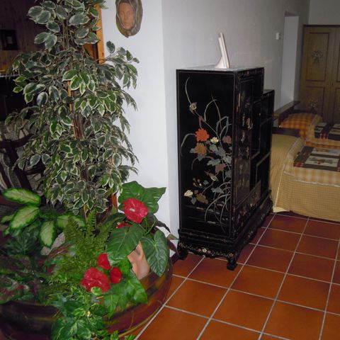 APARTMENT 6 people - House