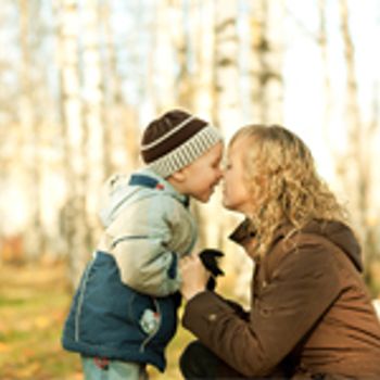 Holiday Parks in a forested area