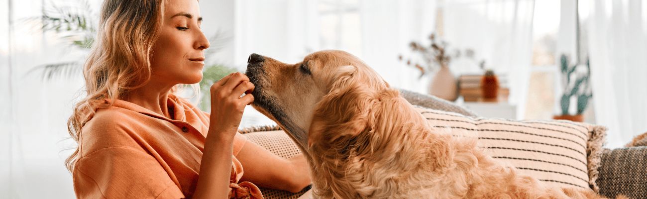 Dog friendly holiday parks